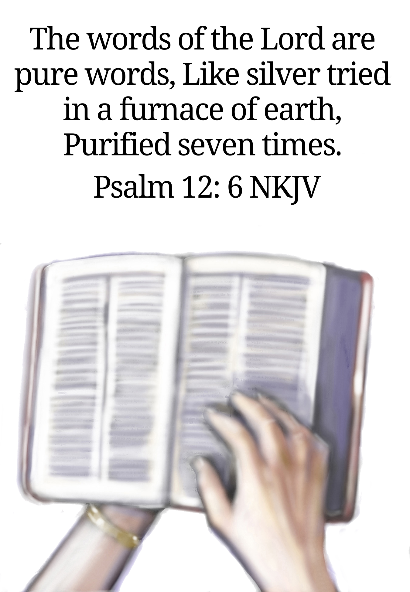 Picture of holding the Bible. Text is Psalm 12: 6 nkjv